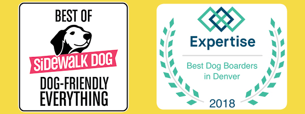 u lucky dog boarding