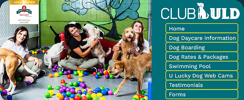 u lucky dog boarding